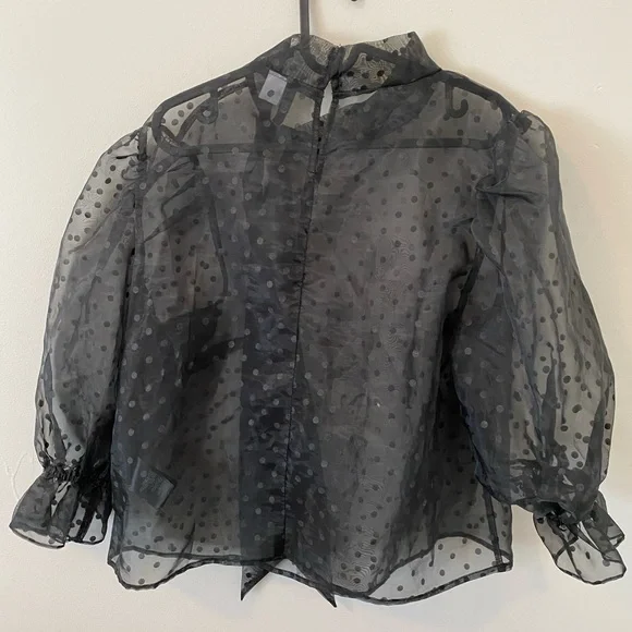 H&M Sheer Top - Picture 3 of 4